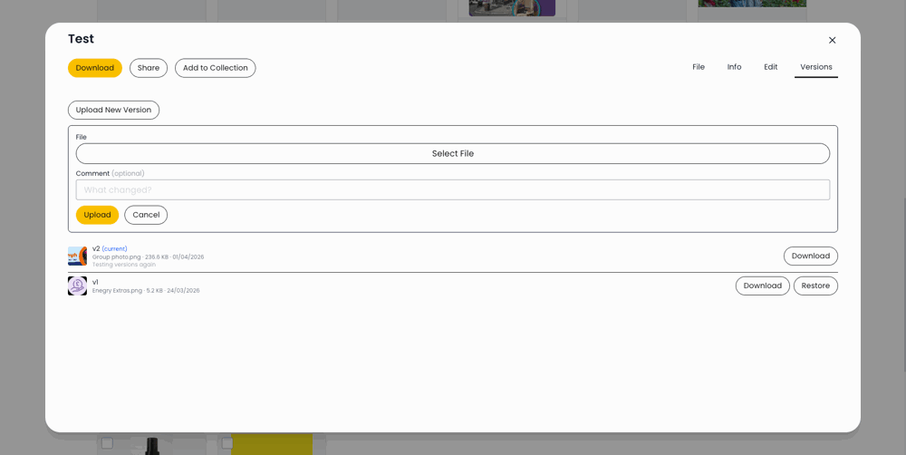 DAM-asset-detail-modal-VersionsTab.png