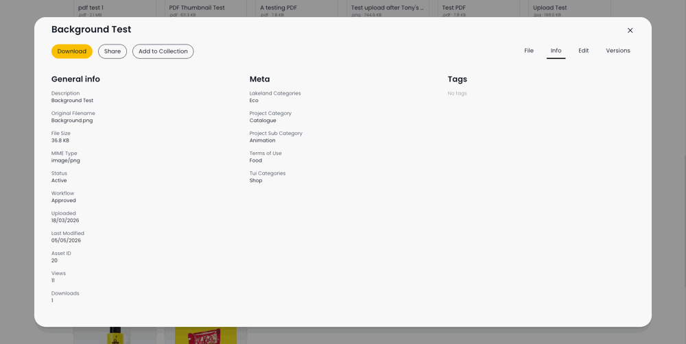 DAM-asset-detail-modal-InfoTab.png