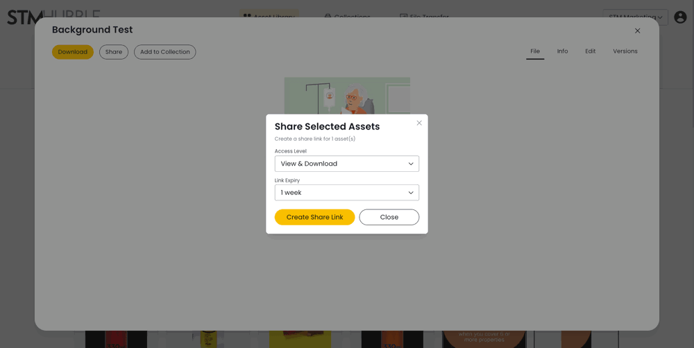 DAM-share-single-asset.png