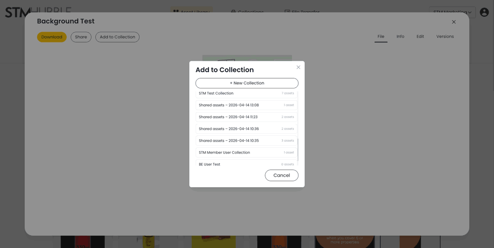DAM-collections-add-single.png