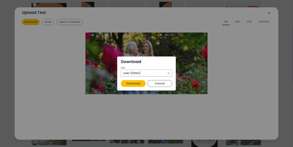 DAM-download-single-asset-modal.png