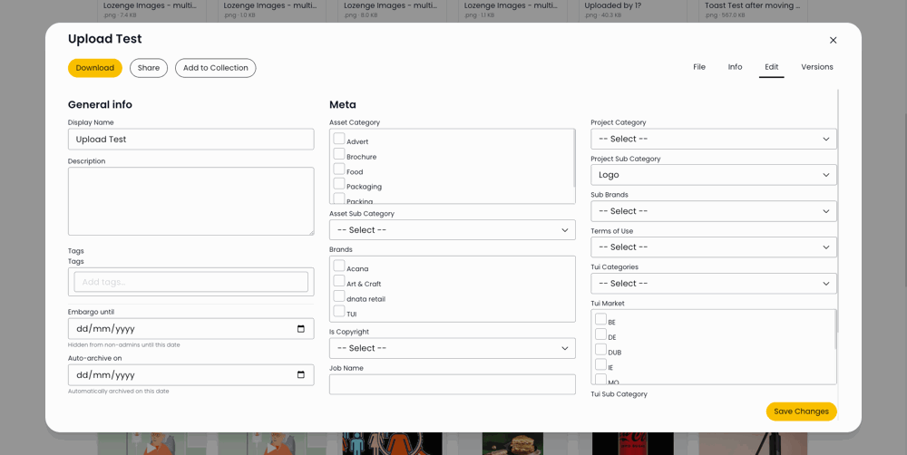 DAM-asset-detail-modal-EditTab.png
